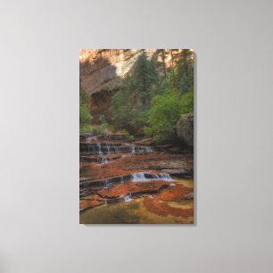 Impressão Em Tela EUA, Utah, Parque Nacional Zion.  Cênico a partir 