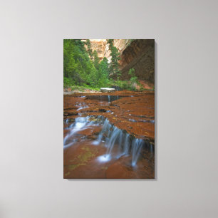 Impressão Em Tela EUA, Utah, Parque Nacional Zion. Cênico a partir d