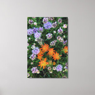 Impressão Em Tela EUA, Utah, Uinta-Wasatch-Cache Floresta Nacional 3