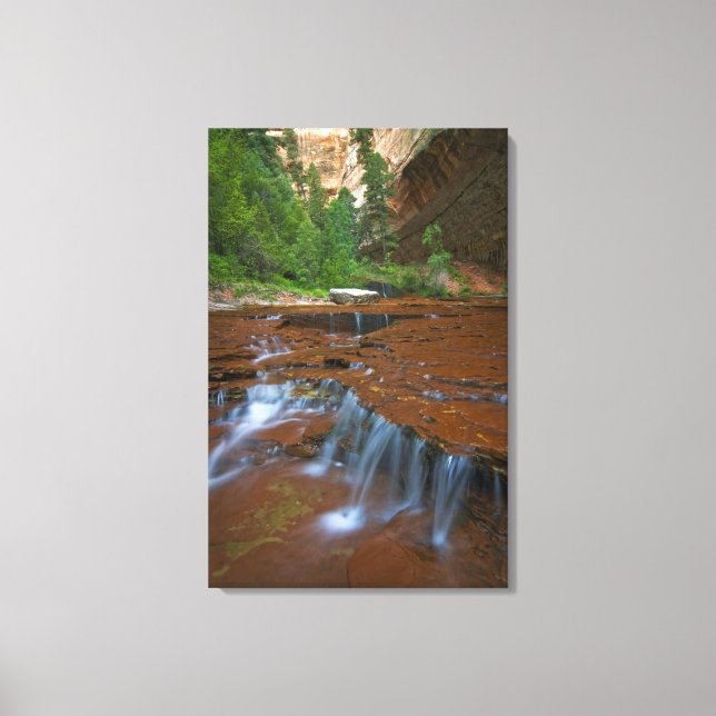 Impressão Em Tela EUA, Utah, Zion National Park. Cênnico de 2 (Frente)