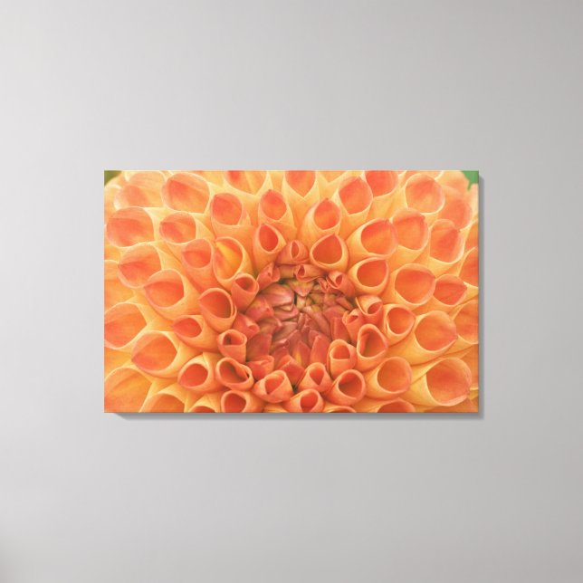 Impressão Em Tela EUA, Washington, Bellevue, Bellevue Botânico 3 (Frente)