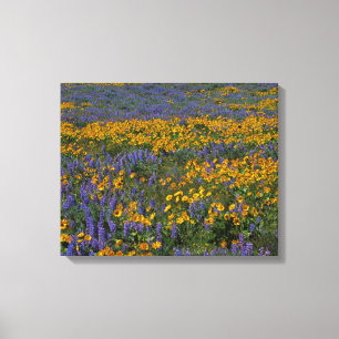 Impressão Em Tela EUA, Washington, Columbia River Gorge National