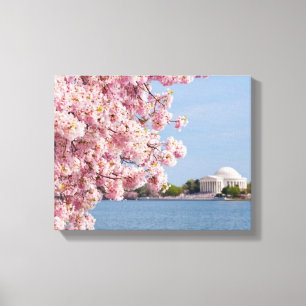 Impressão Em Tela EUA, Washington DC, árvore de cereja