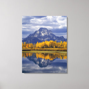 Impressão Em Tela EUA, Wyoming, Grand Teton NP. Contra o