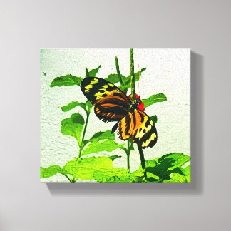 Impressão Em Tela Eueides Isabella