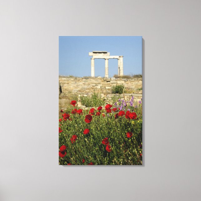 Impressão Em Tela Europa, Grécia, Cíclades, Delos. Arruínas de colun (Frente)