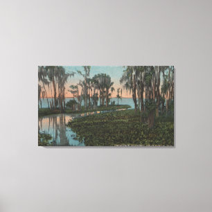 Impressão Em Tela Eustis, Florida - vista do canal pantanoso