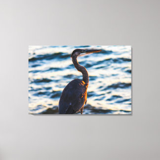 Impressão Em Tela Excelente Blue Heron Sunset Vibe