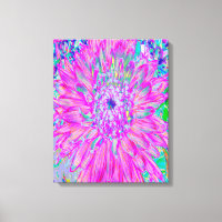 Explosão legal de Cactus Dahlia, Azul e Roxo