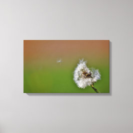 Impressão Em Tela faça um desejo,