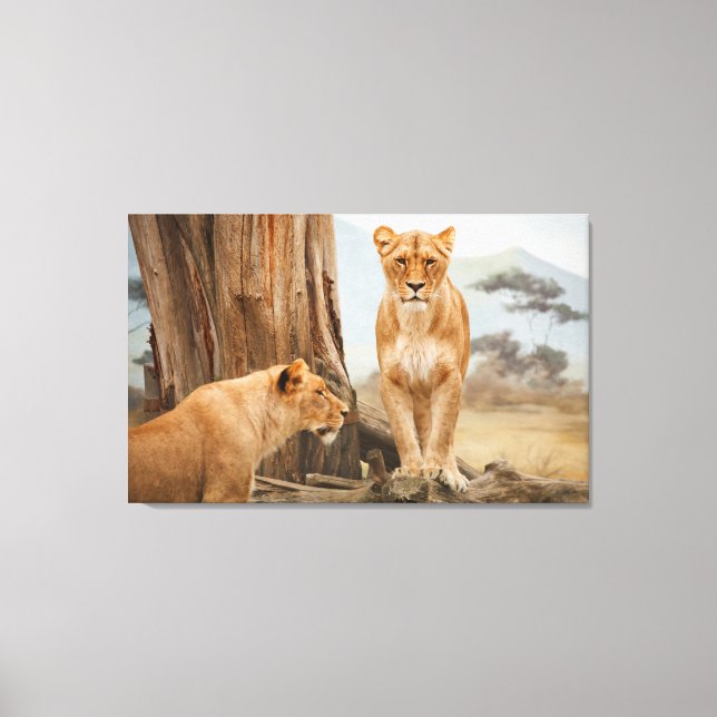 Impressão Em Tela Face A Face Com Leões Wall Art (Frente)