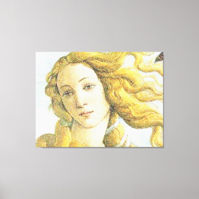 Impressão Em Tela Face de Vênus (Frente)