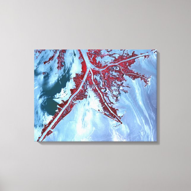 Impressão Em Tela Falsa cor satélite (Frente)