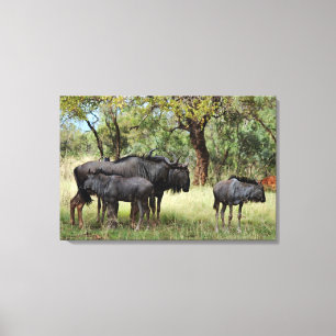 Impressão Em Tela Família do Wildebeest em África do Sul
