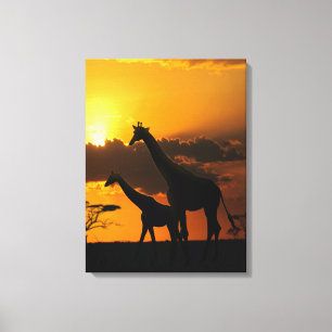 Impressão Em Tela Família Giraffe 2