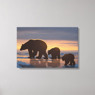 Impressão Em Tela Família Polar Bear