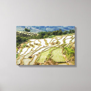 Impressão Em Tela Famosas Terras de Arroz de Yuanyang - Yunnan, Chin