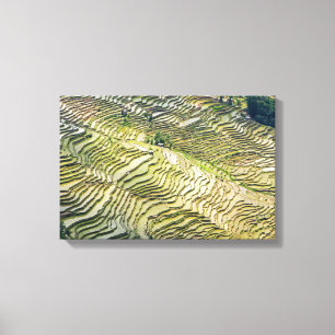 Impressão Em Tela Famosos Yuanyang Rice Terraces - Yunnan, China