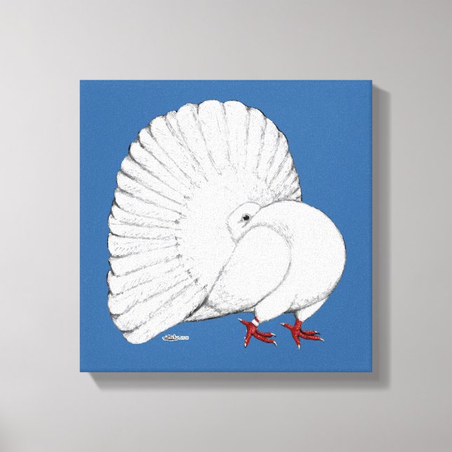 Impressão Em Tela Fantail Pigeon White (Frente)