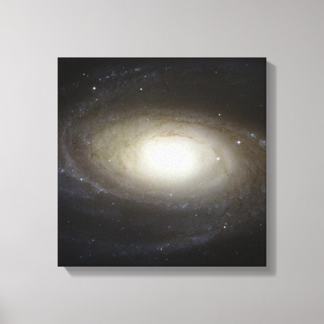 Impressão Em Tela Fantasia e Espaço (Frente)