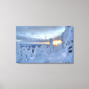 Impressão Em Tela Fantasmas de neve ao pôr do sol na Whitefish Mount