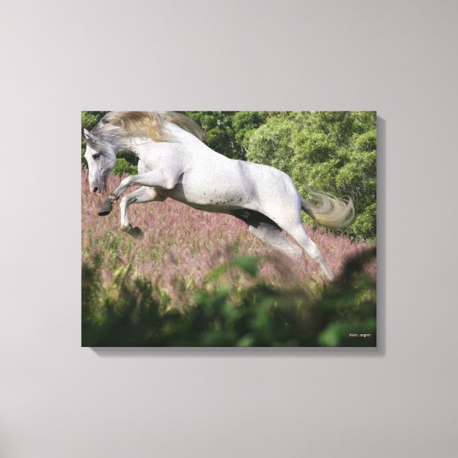 Impressão Em Tela Fantasy Horses: Primavera Gallop (Frente)