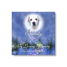 Fantasy Pond Adicionar Seu Memorial De Foto Pet