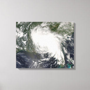 Impressão Em Tela Fay tropical 3 da tempestade