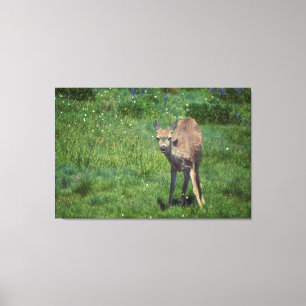 Impressão Em Tela Fazer