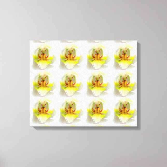 Impressão Em Tela fechar 12 orquídeas amarelas-brancas (Frente)