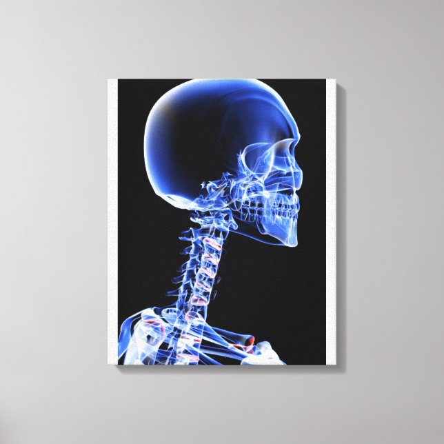 Impressão Em Tela Fechar a radiografia dos ossos do pescoço (Frente)