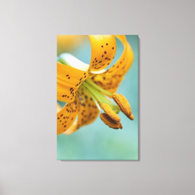 Impressão Em Tela Fechar uma Lily Amarela (Frente)