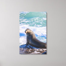 Impressão Em Tela Feche 4. Você precisa parar de me olhar!