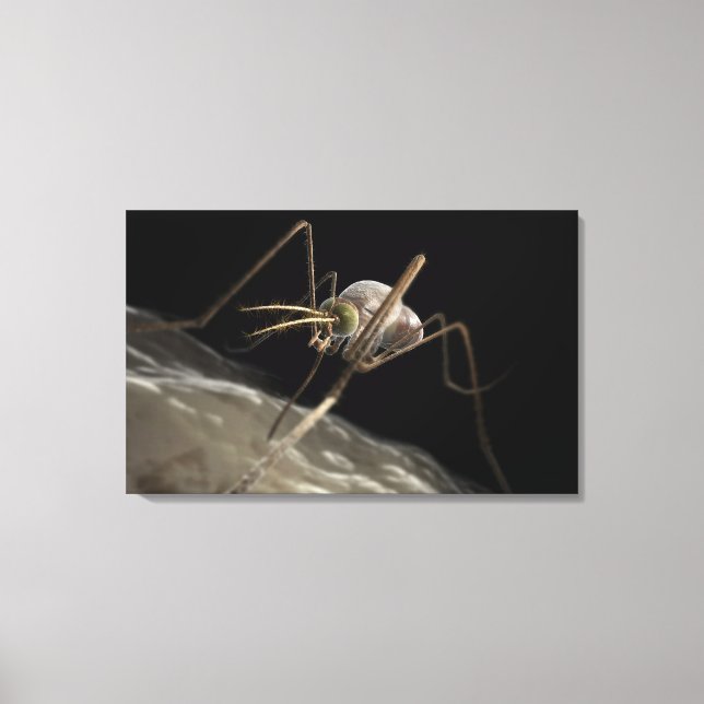 Impressão Em Tela Feche a picada do mosquito 3d (Frente)