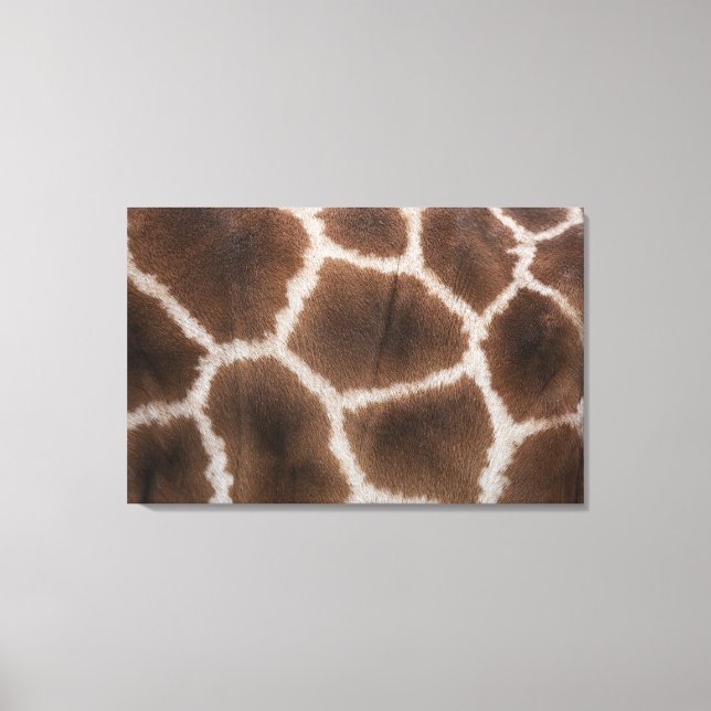 Impressão Em Tela Fecho da Pele de Girafas (Frente)