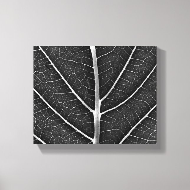 Impressão Em Tela Fecho de folhas brilhantes a preto e branco (Frente)