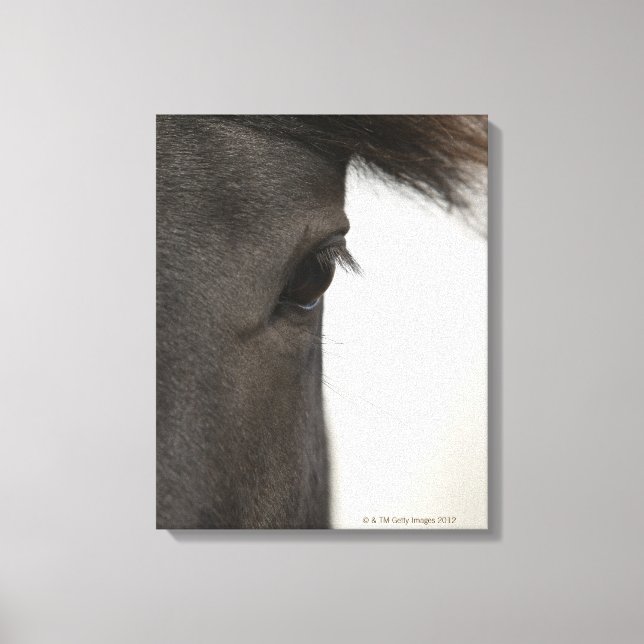 Impressão Em Tela Fecho dos olhos e do cabelo de cavalo (Frente)