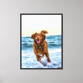 Impressão Em Tela Feliz Cachorro Jogando na praia alegre do oceano