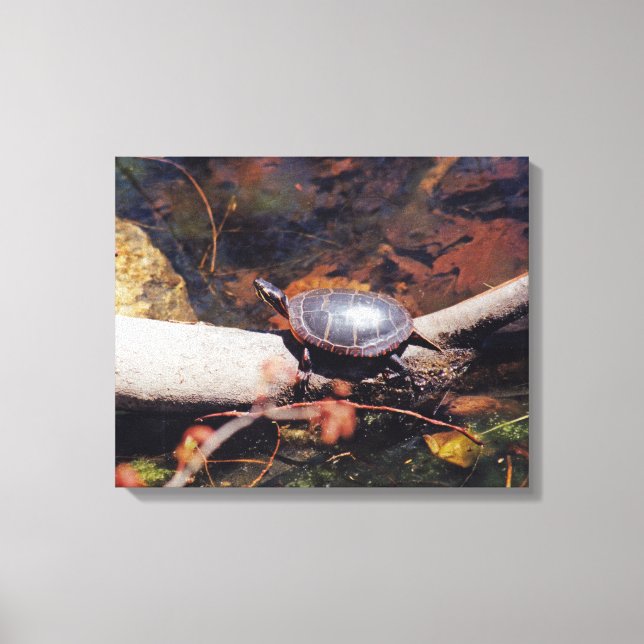 Impressão Em Tela Feliz Tartaruga (Frente)