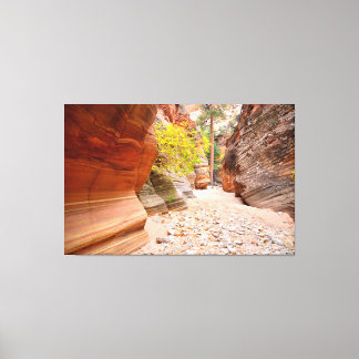 Impressão Em Tela Fenda do Zion Canyon