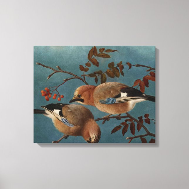 Impressão Em Tela Ferdinand von Wright - Jays (Frente)