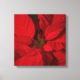 Impressão Em Tela Feriados de Natal da Red Poinsettia