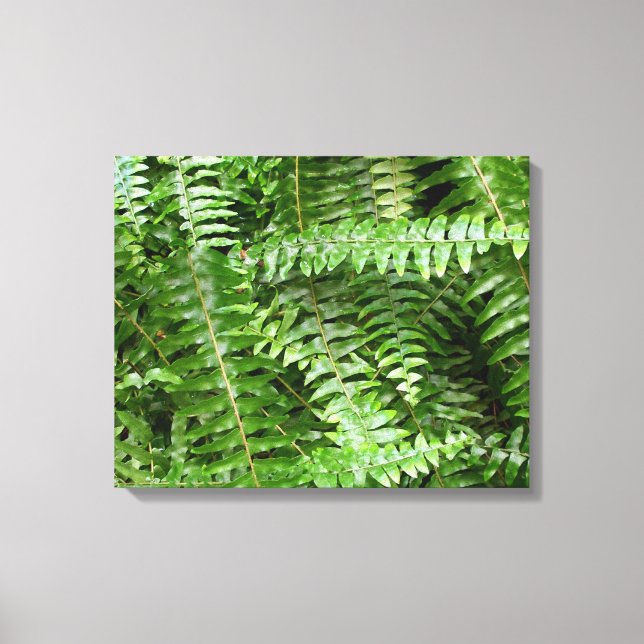 Impressão Em Tela Fern Frontes I Green Nature (Frente)