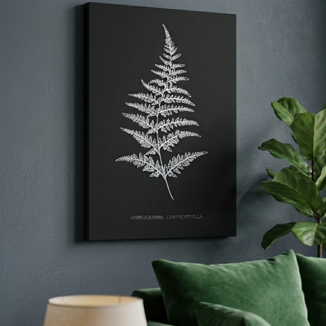 Impressão Em Tela Fern - Gymnogramma Chrysofila. Efeito de raios X - (Golden Fern Frond, Gymnogramma Chrysophylla. Canvas Print)