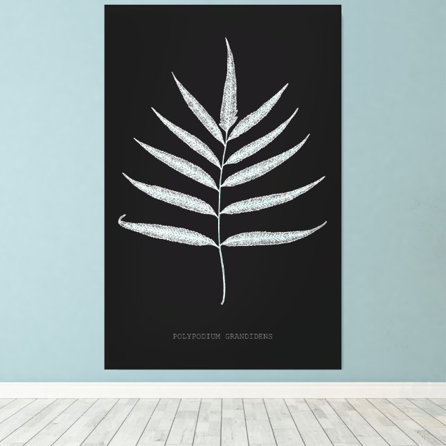 Impressão Em Tela Fern - Polypodyum GrCandidate - Efeito de raios X  (Insitu(piso de madeira))