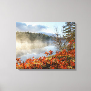 Impressão Em Tela Ferns on Shoreline Paradise, Michigan