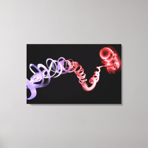 Impressão Em Tela Feto com um cabo de cordão umbilical feito de