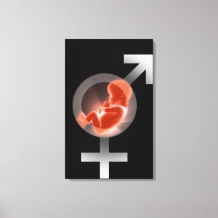 Impressão Em Tela Feto sobrepor sobre os símbolos masculinos e