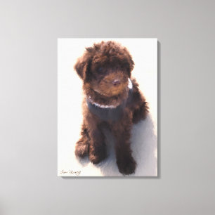 IMPRESSÃO EM TELA FILHOTE DE CACHORRO AUSTRALIANO DE LABRADOODLE