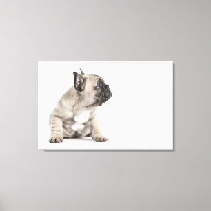 Impressão Em Tela Filhote de cachorro da pedigree